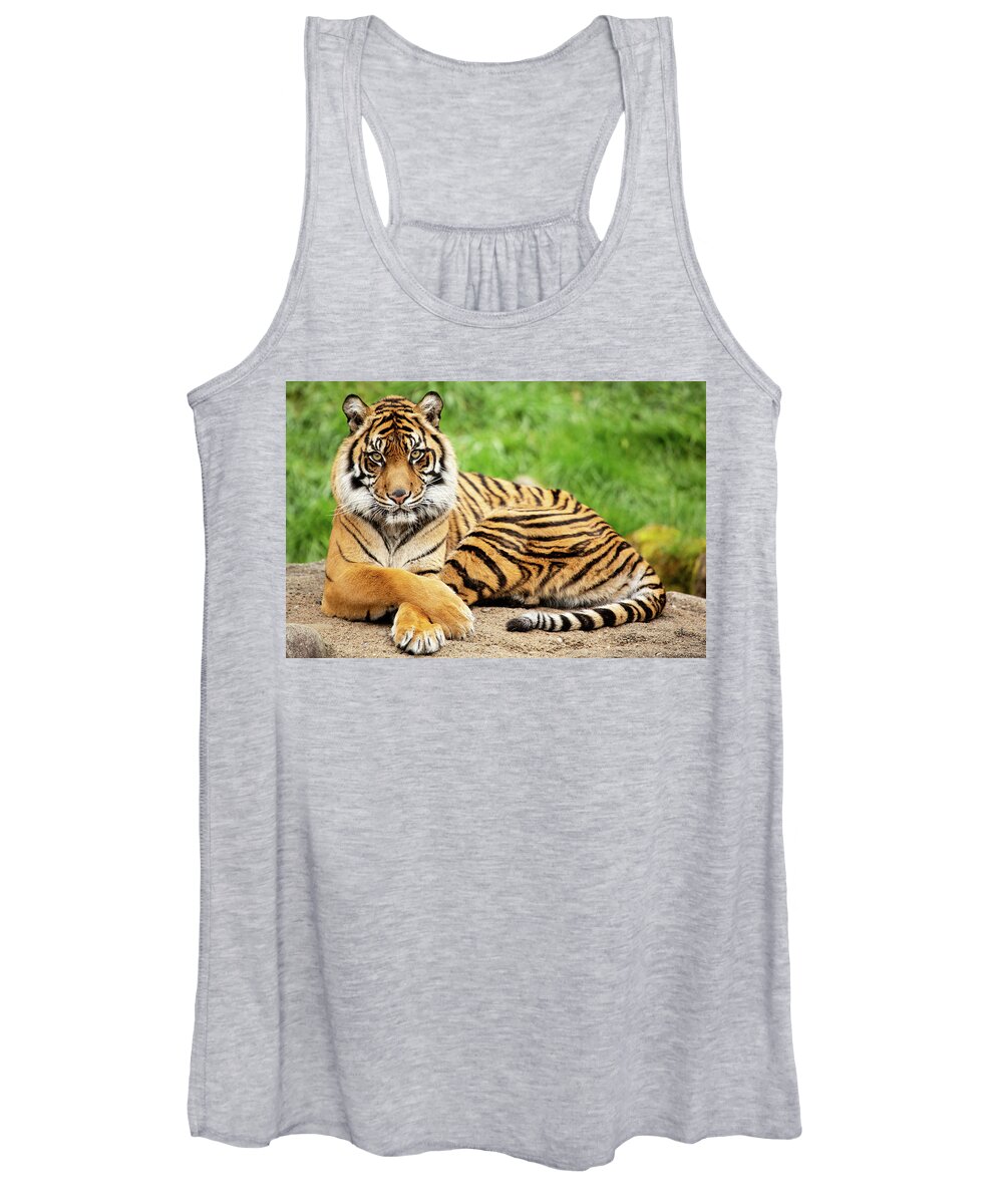 Animal Women's Tank Top featuring the photograph The Look by Bob Cournoyer