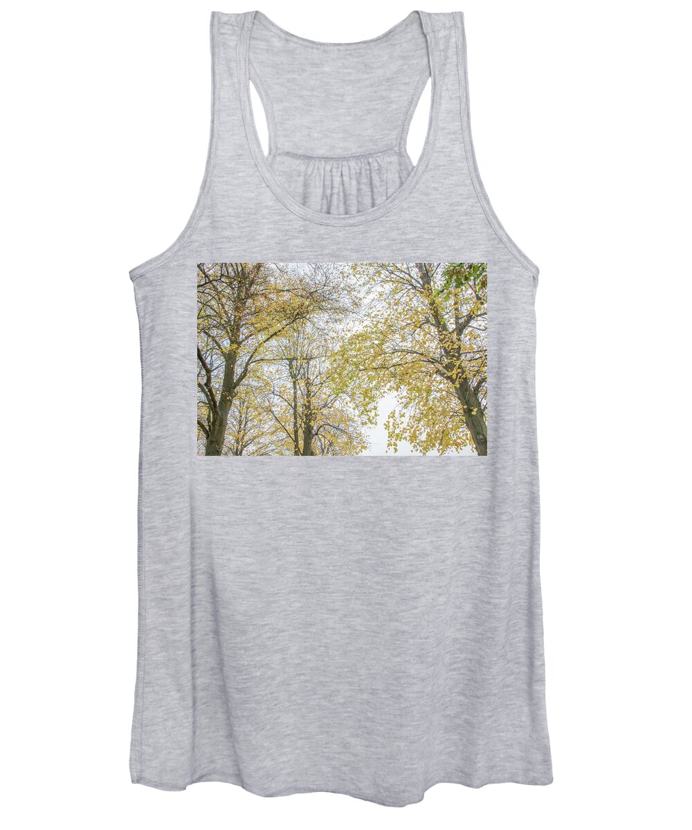 Trent Park Women's Tank Top featuring the photograph Trent Park Trees Fall 12 by Edmund Peston
