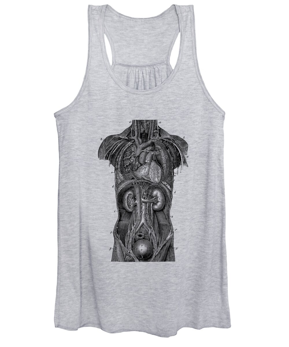 Heart Women's Tank Top featuring the drawing Upper Body Anatomy Diagram Two - Vintage Anatomy 2 by Vintage Anatomy Prints