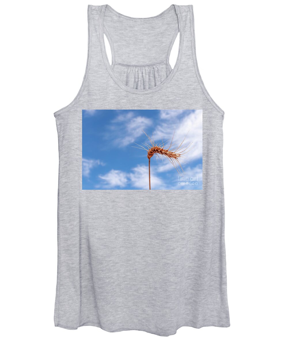 Wheat Women's Tank Top featuring the photograph Wheat by Daniel M Walsh