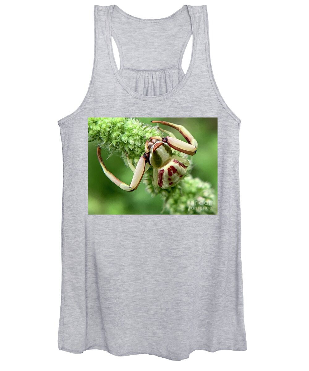 Spider Women's Tank Top featuring the photograph White Banded Crab Spider by Catherine Wilson