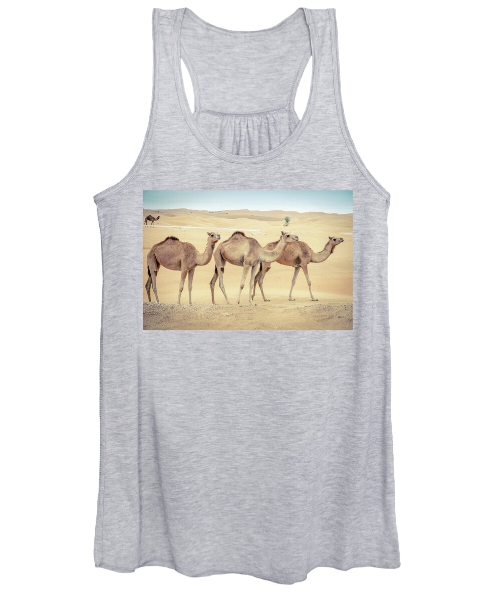 Abu Dhabi Women's Tank Top featuring the photograph Wild camels in the Middle Eastern desert by Alexey Stiop