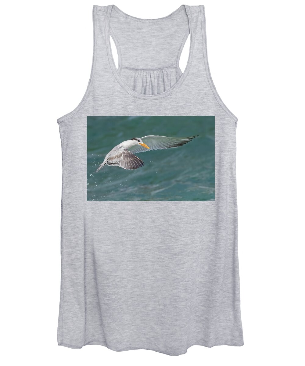 Royal Tern Women's Tank Top featuring the photograph Winged Royalty by RD Allen