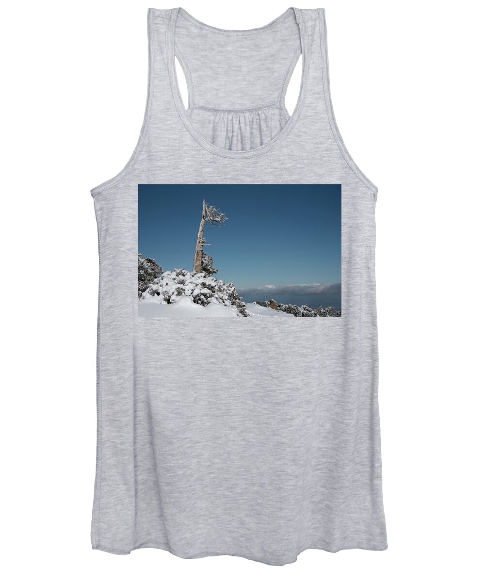 Single Tree Women's Tank Top featuring the photograph Winter landscape in snowy mountains. frozen snowy lonely fir trees against blue sky. by Michalakis Ppalis