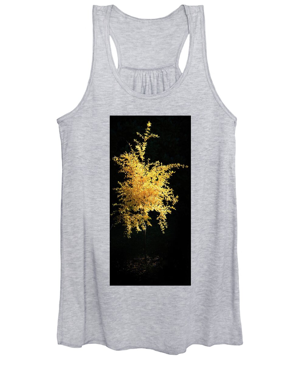 Agriculture Women's Tank Top featuring the photograph Yellow pomegranate tree on a dark background. by Jean-Luc Farges