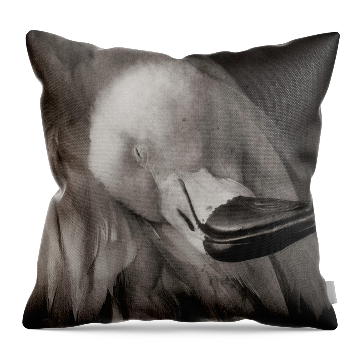 American Flamingo Throw Pillow featuring the photograph Napping on Flamingo Feathers by Theo O'Connor