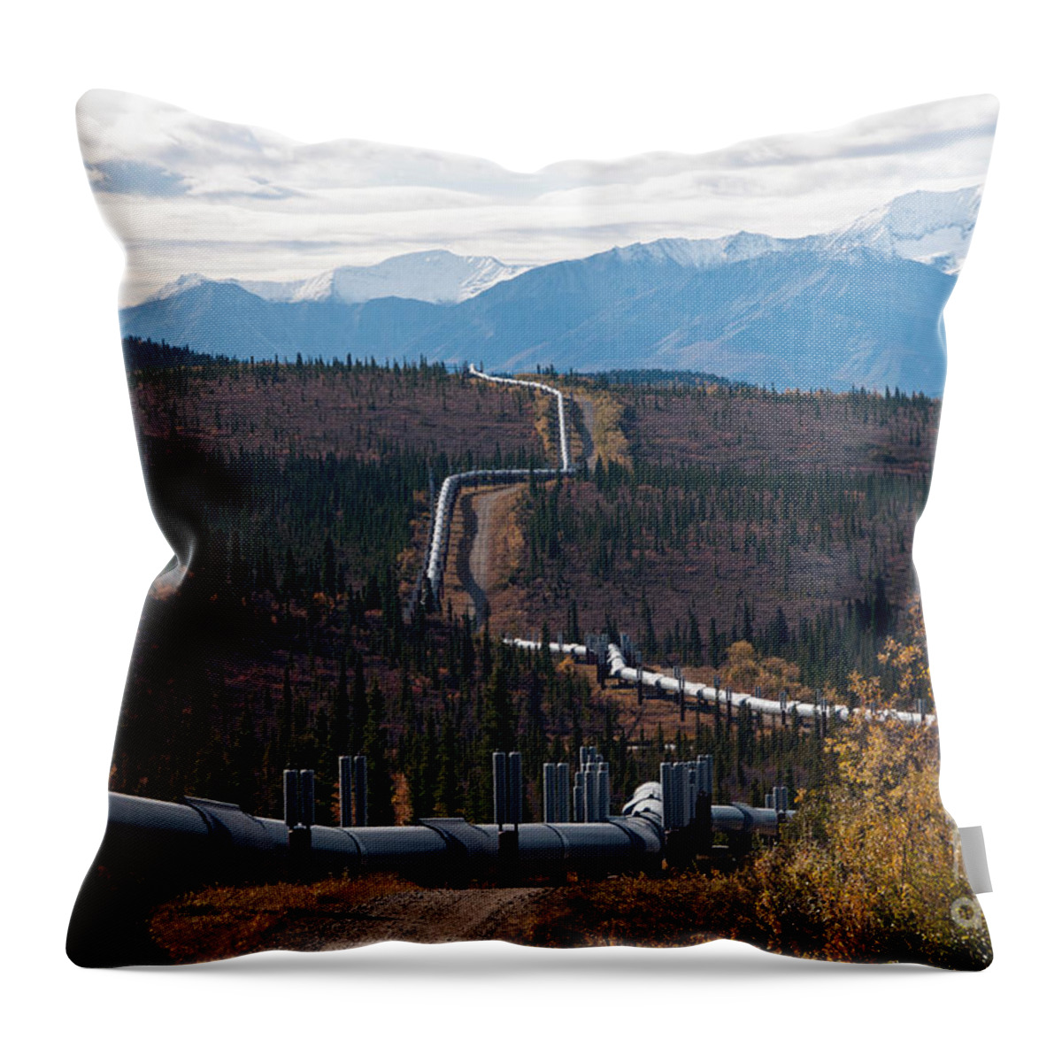 Nature Throw Pillow featuring the photograph Alaska Oil Pipeline by Mark Newman