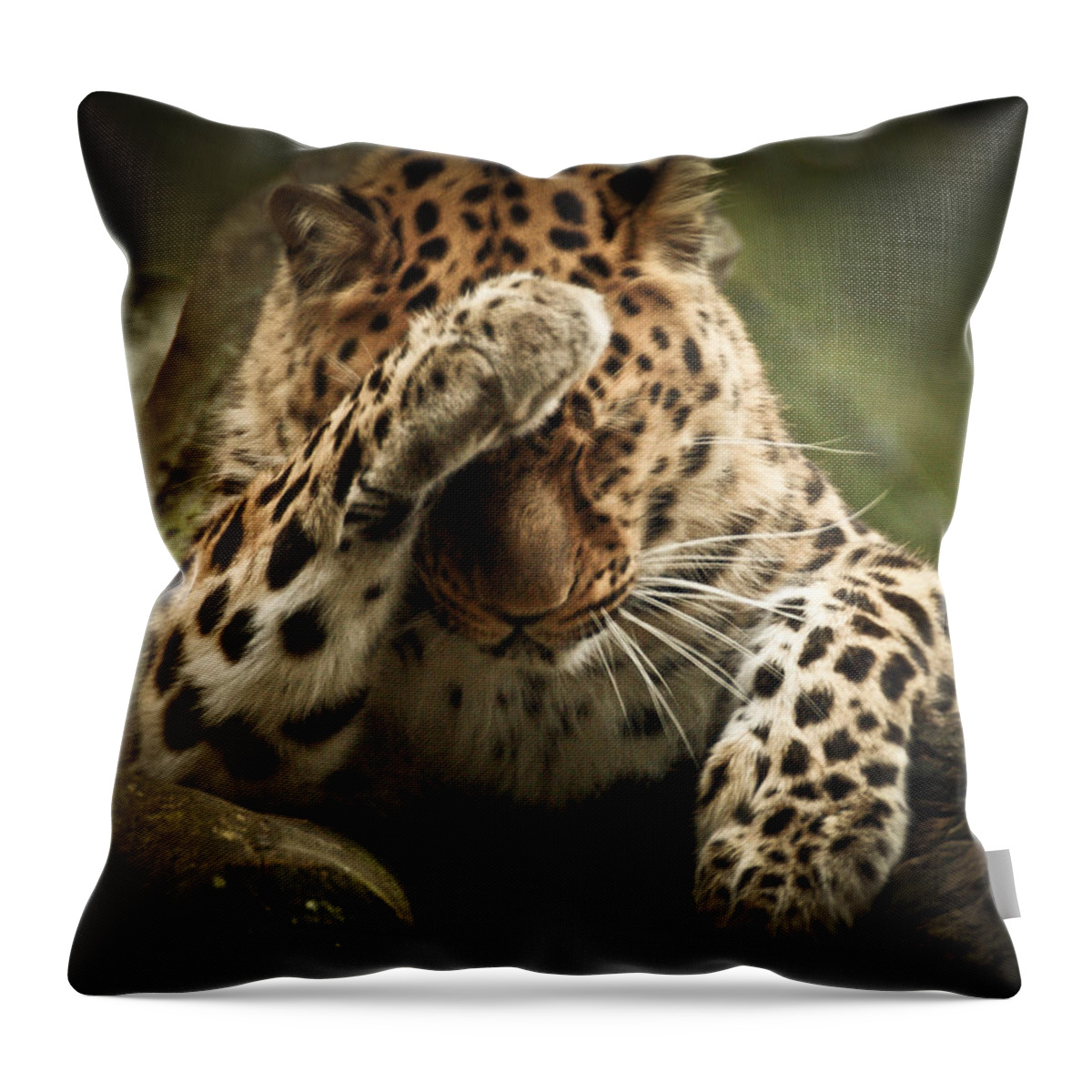 Animal Throw Pillow featuring the photograph Amur Leopard by Chris Boulton
