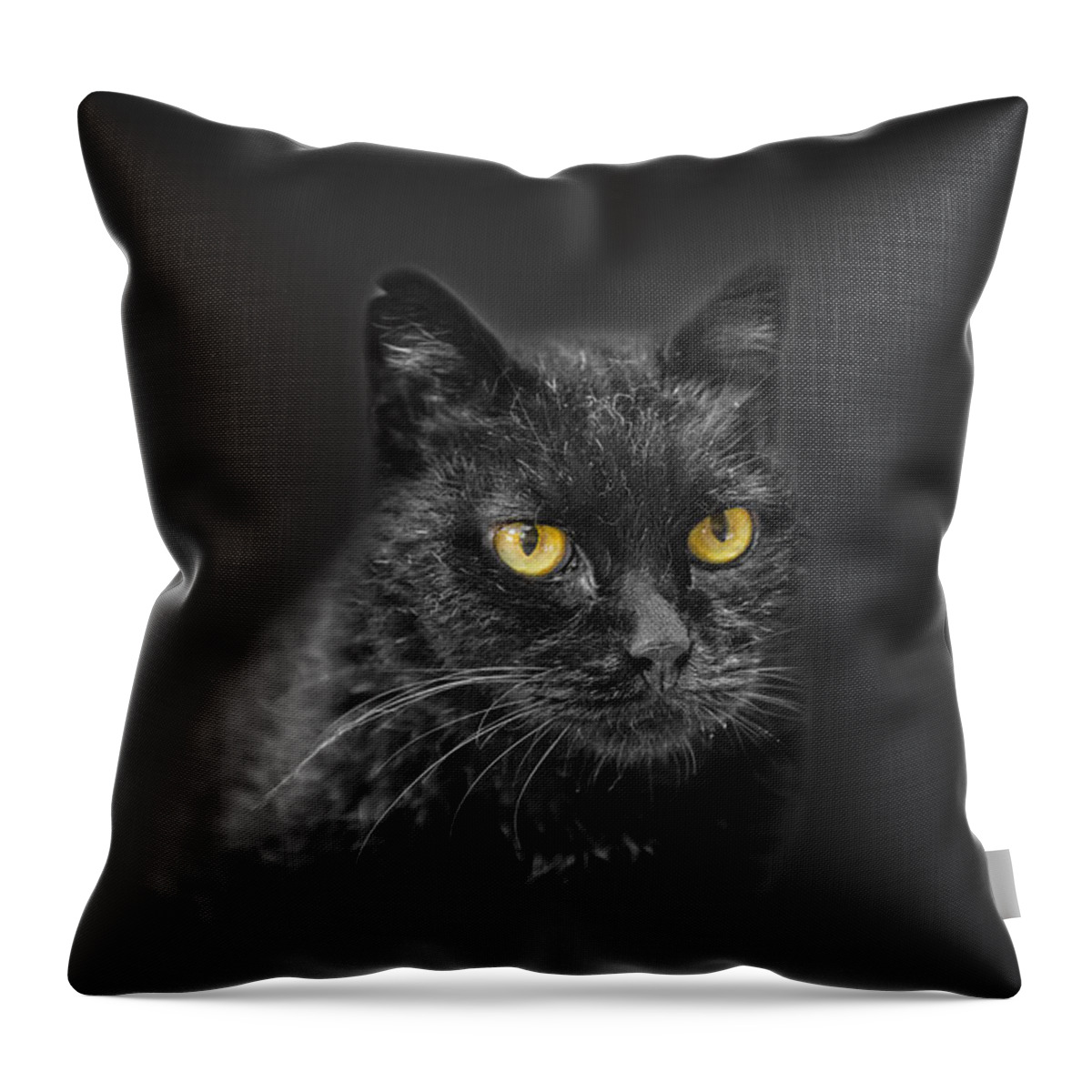 Animal Throw Pillow featuring the photograph Black Cat by Peter Lakomy