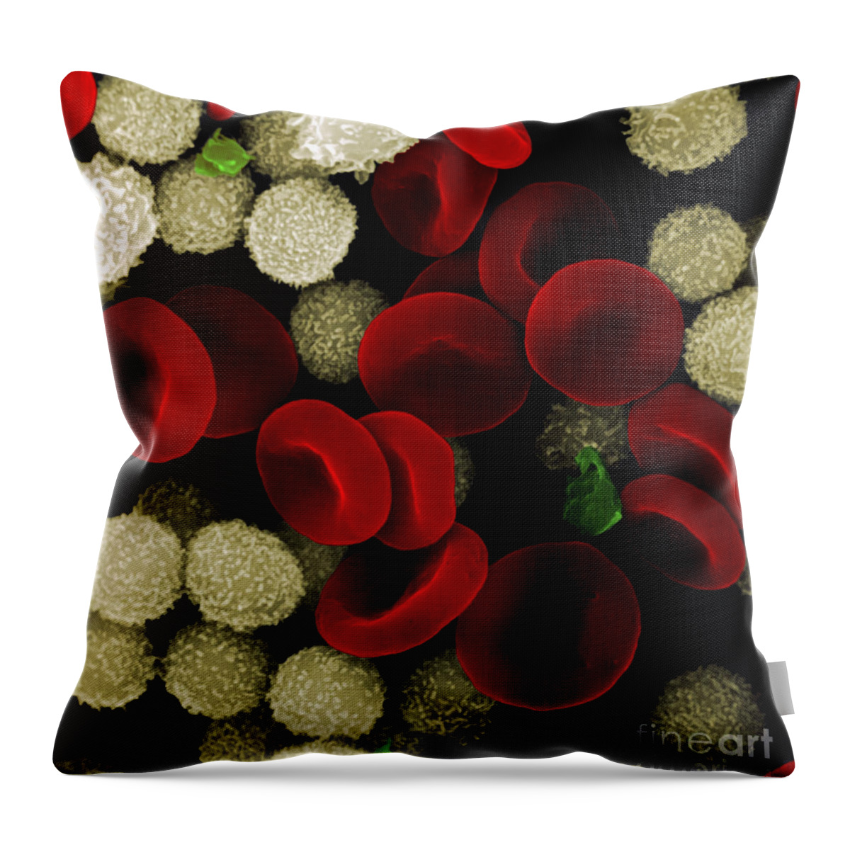Leukocyte Throw Pillow featuring the photograph Blood Cells by Stem Jems