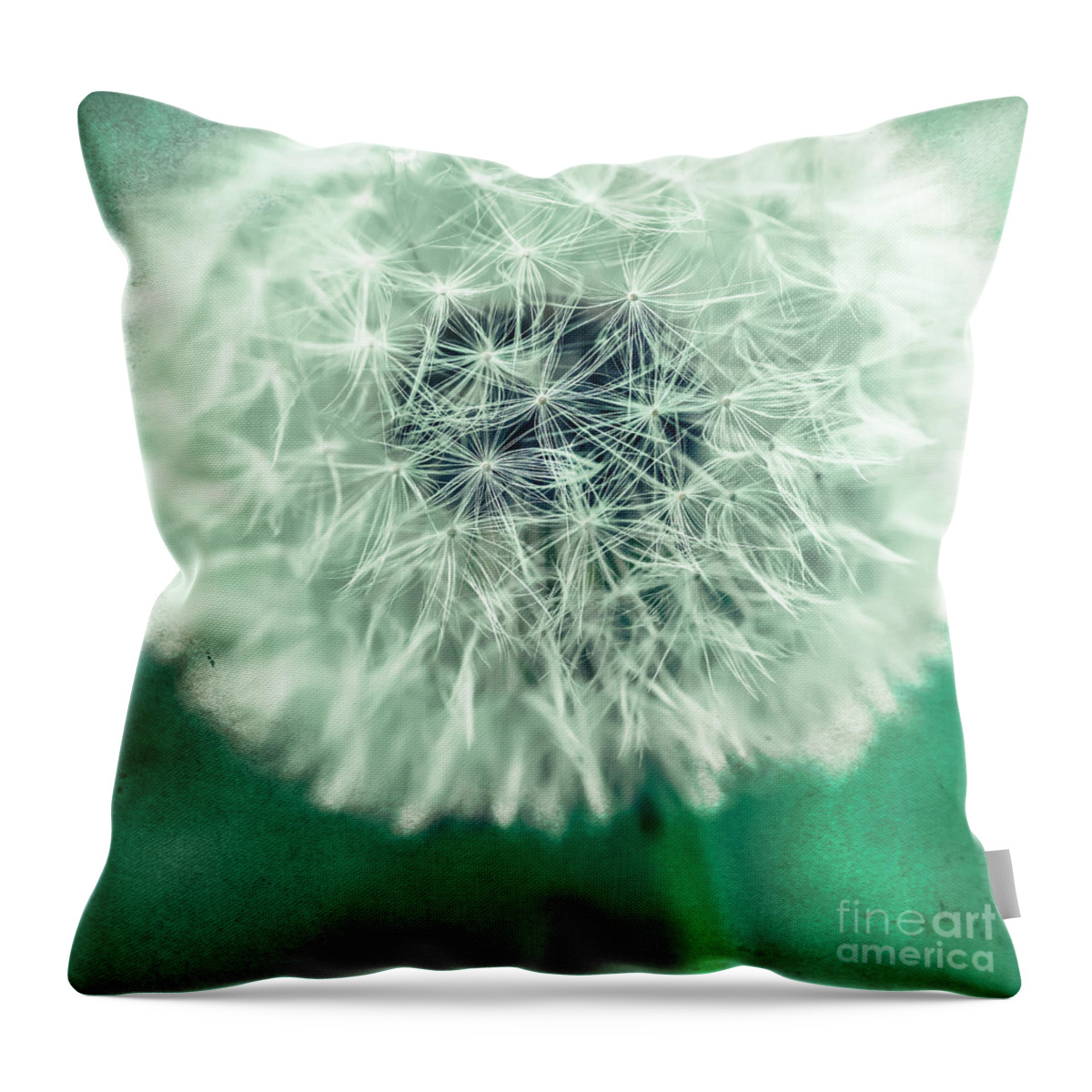 1x1 Throw Pillow featuring the photograph Blowball 1x1 by Hannes Cmarits