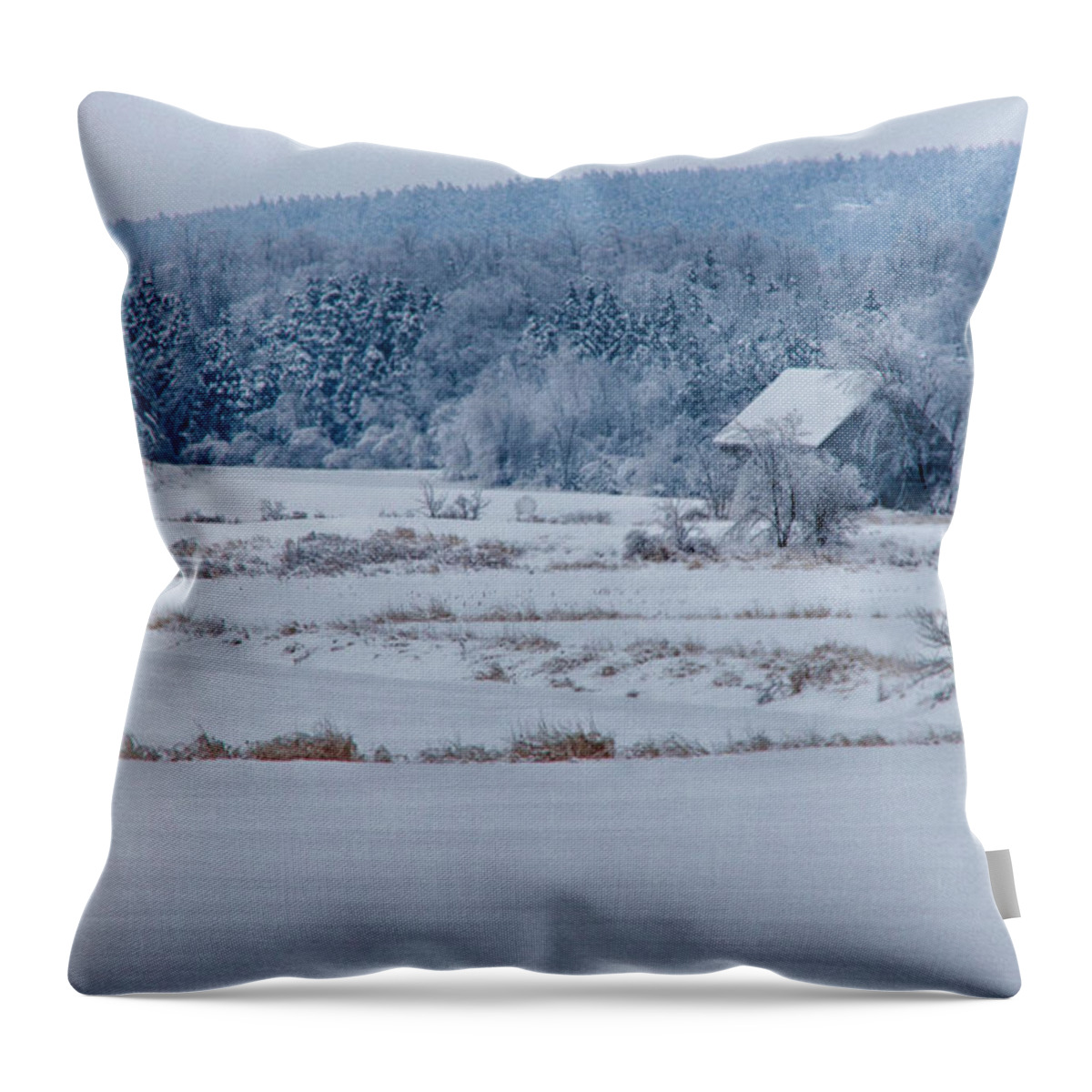 Scenic Vermont Photographs Throw Pillow featuring the photograph Cold blue snow by Jeff Folger