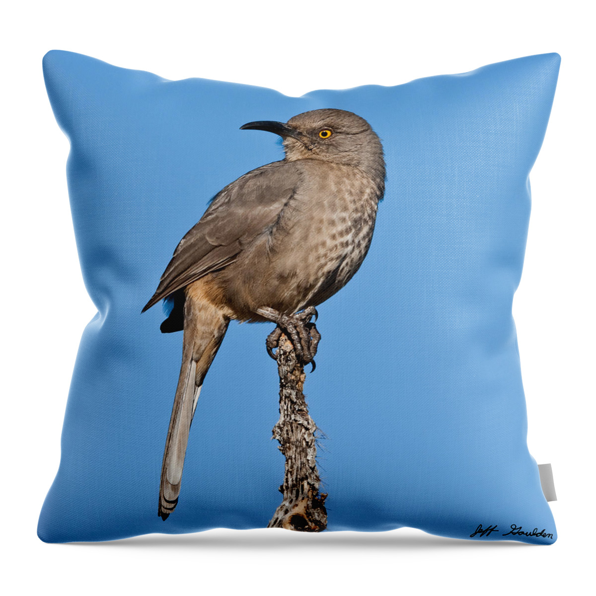 Animal Throw Pillow featuring the photograph Curve-Billed Thrasher by Jeff Goulden