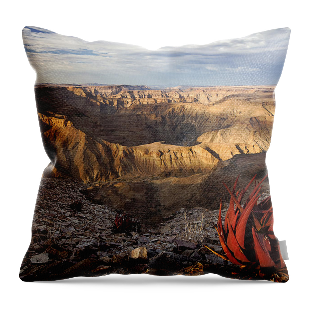 Vincent Grafhorst Throw Pillow featuring the photograph Desert And Fish River Canyon Namibia by Vincent Grafhorst
