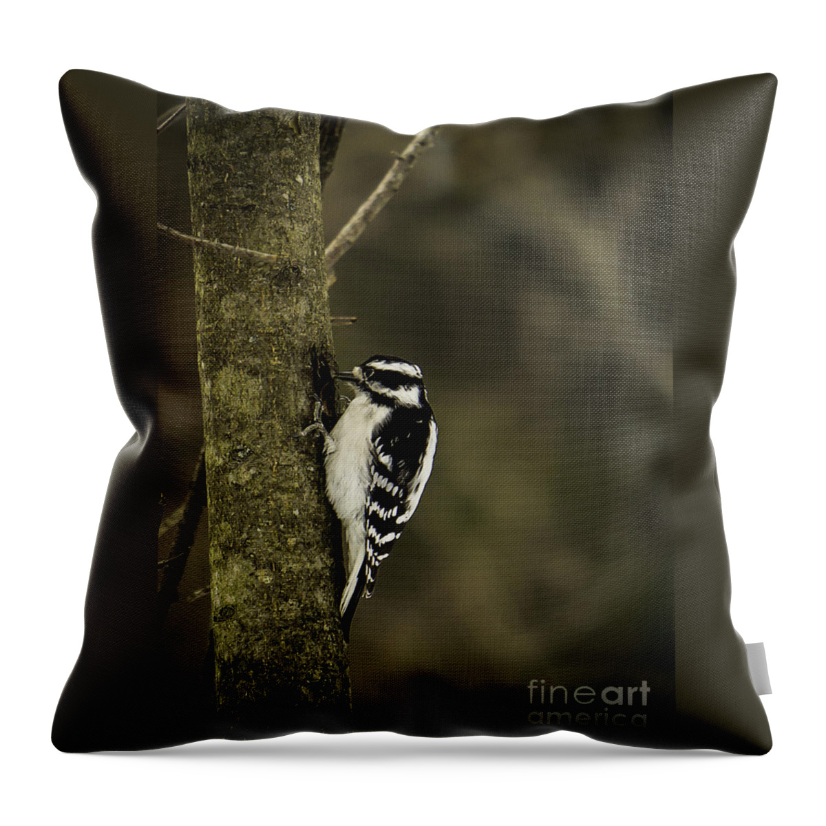 Downy Throw Pillow featuring the photograph Downy Woodpecker by Brad Marzolf Photography