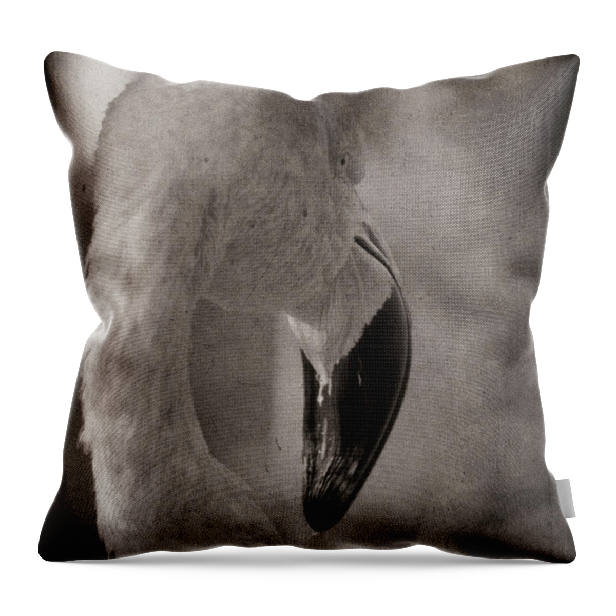 American Flamingo Throw Pillow featuring the photograph Flamingo on a Fall Day by Theo O'Connor