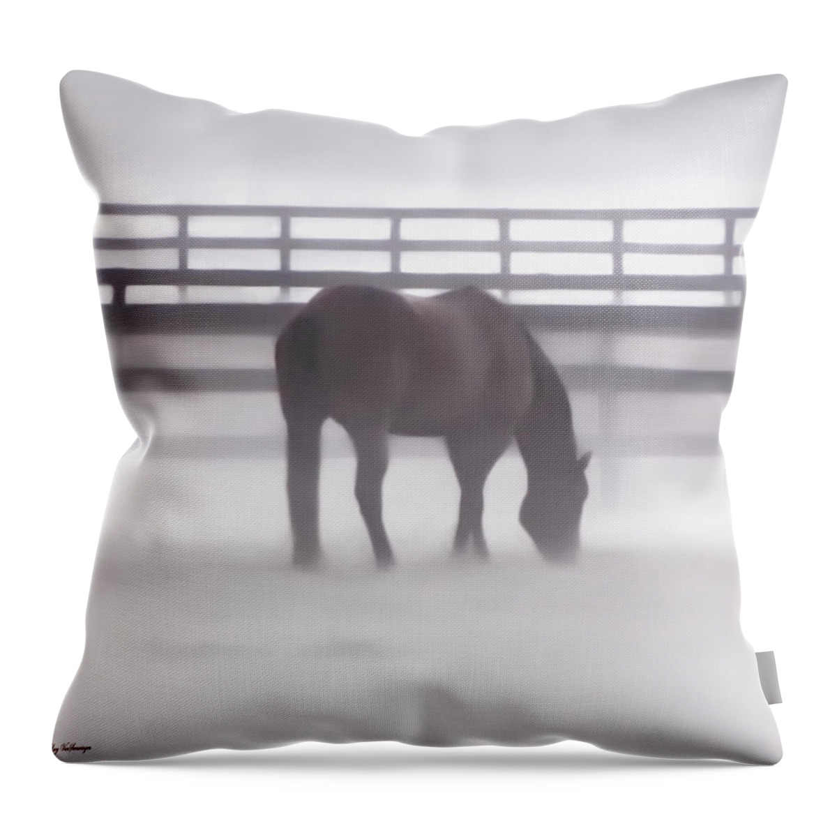 Fog Throw Pillow featuring the photograph Foggy Morning by Lucy VanSwearingen