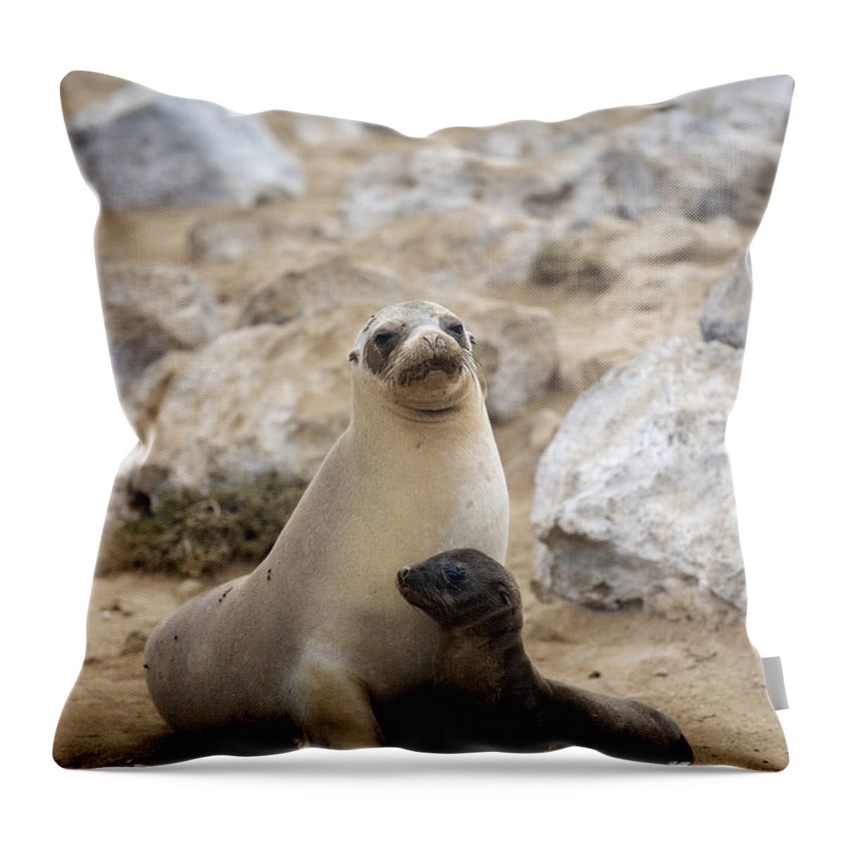 Tui De Roy Throw Pillow featuring the photograph Galapagos Sea Lion And Pup Champion by Tui De Roy