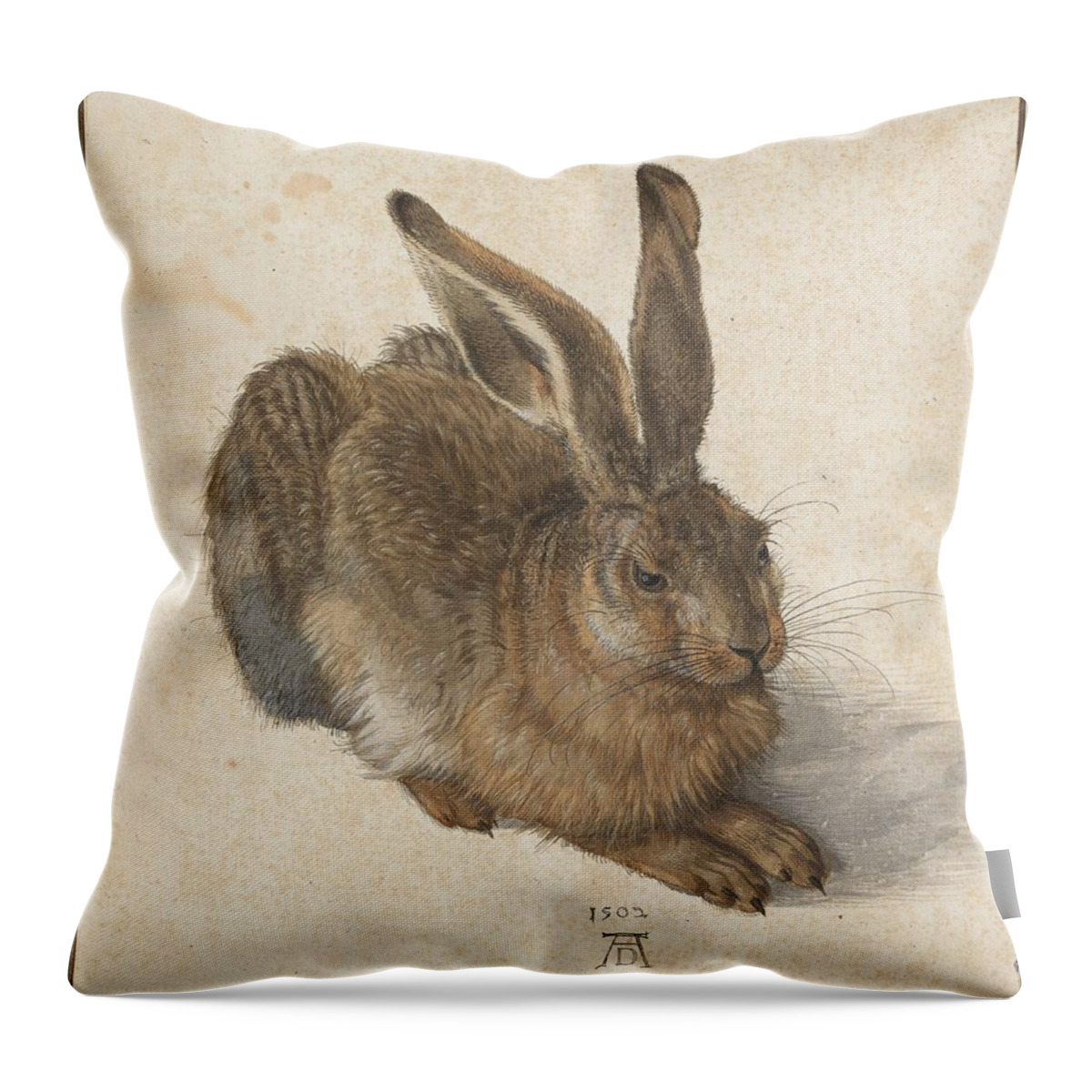 Durer Hare Throw Pillow featuring the painting Young Hare by Albrecht Durer