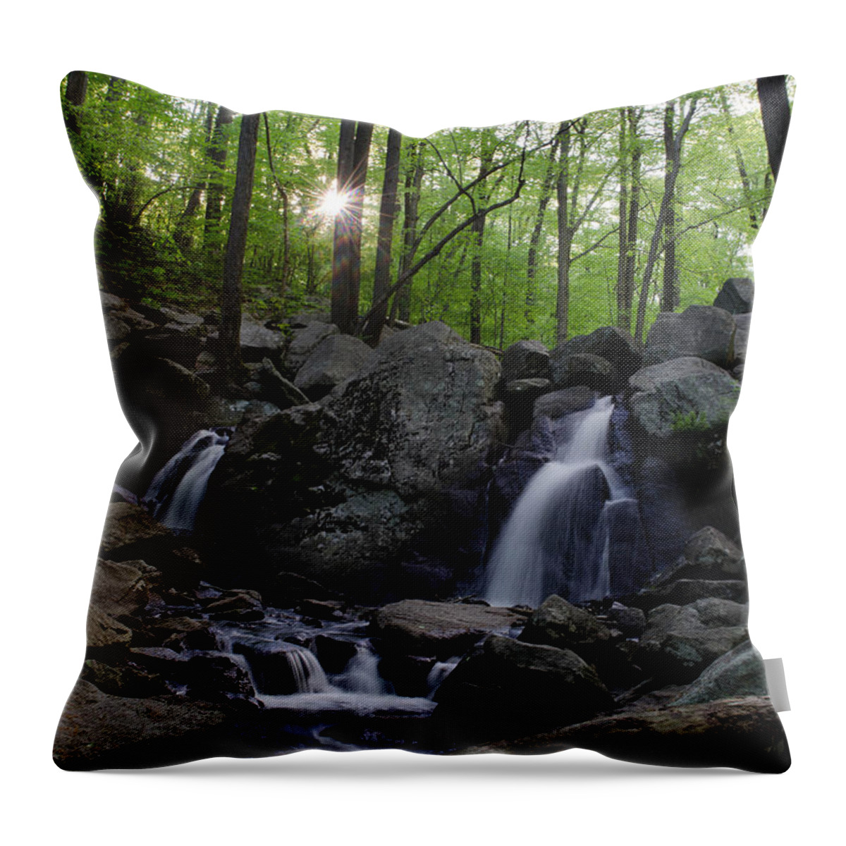 Landscape Throw Pillow featuring the photograph Hacklebarney Waterfall by GeeLeesa Productions