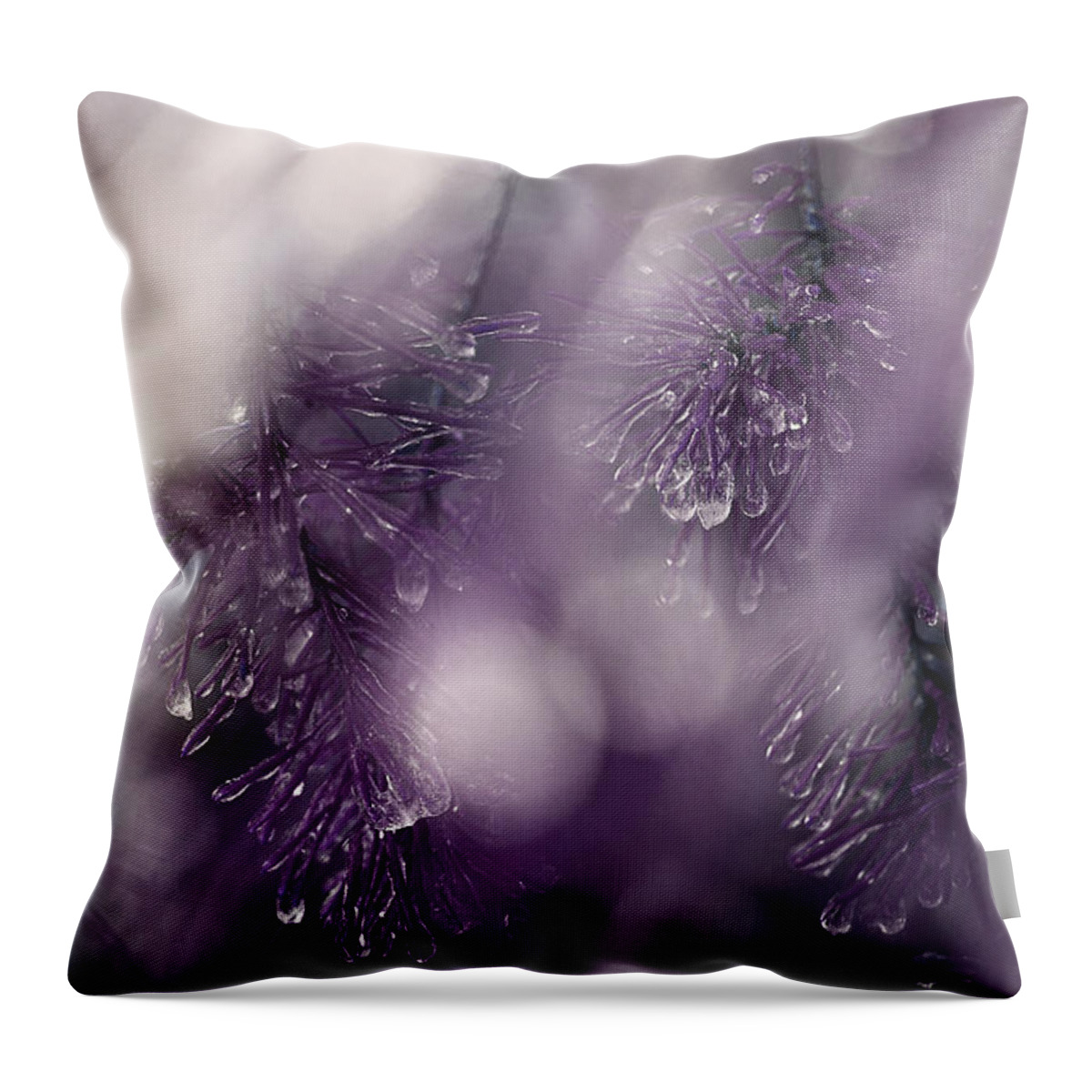 Pine Needles Throw Pillow featuring the photograph I Still Search For You by Michael Eingle