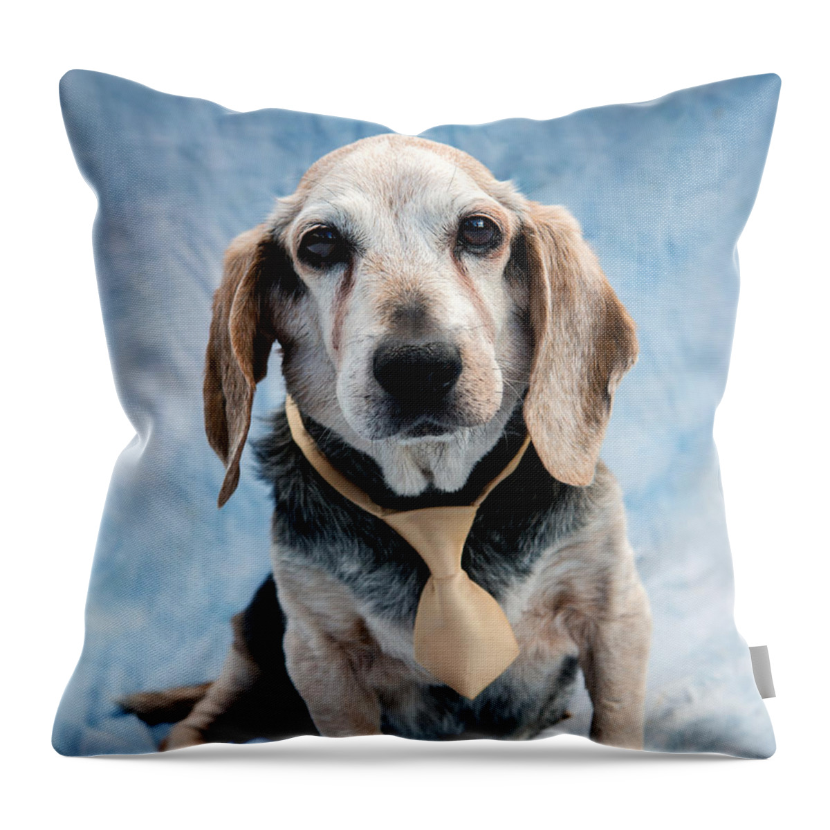 Beagle Throw Pillow featuring the photograph Kippy Beagle Senior by Iris Richardson