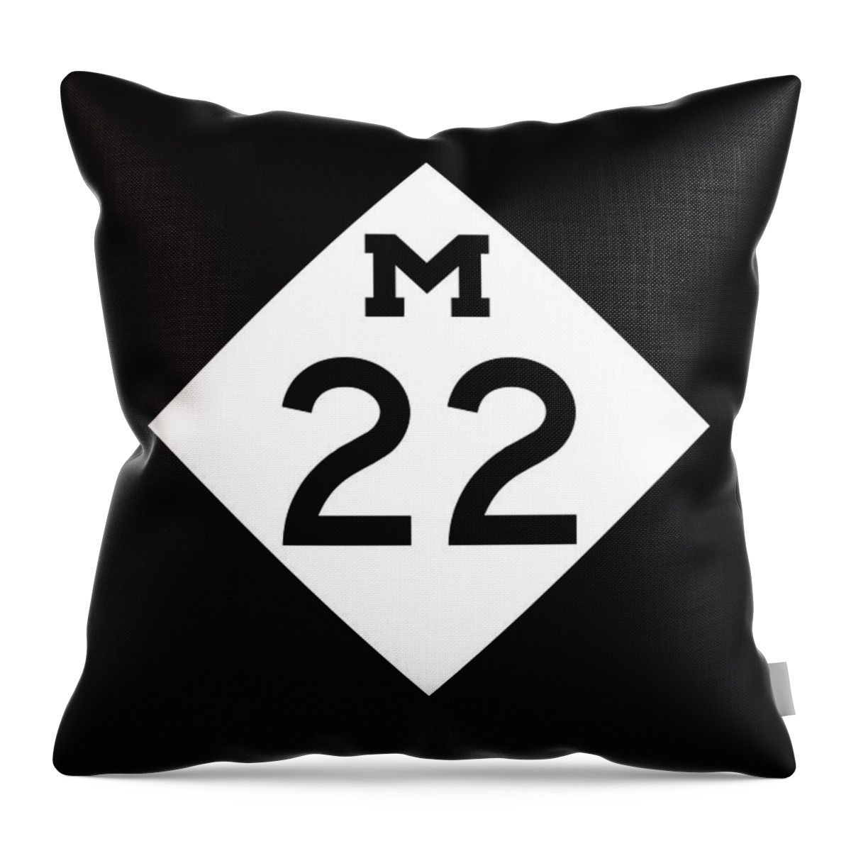Michigan Throw Pillow featuring the photograph M 22 by Sebastian Musial