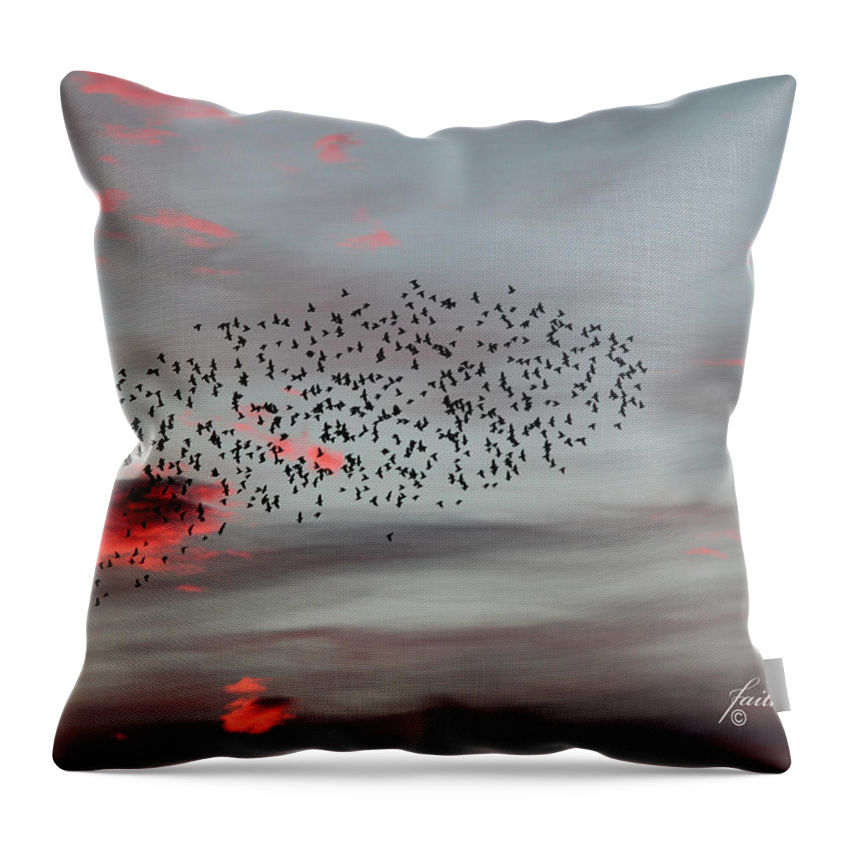 Sunrise Throw Pillow featuring the photograph Morning Stretch III by E Faithe Lester