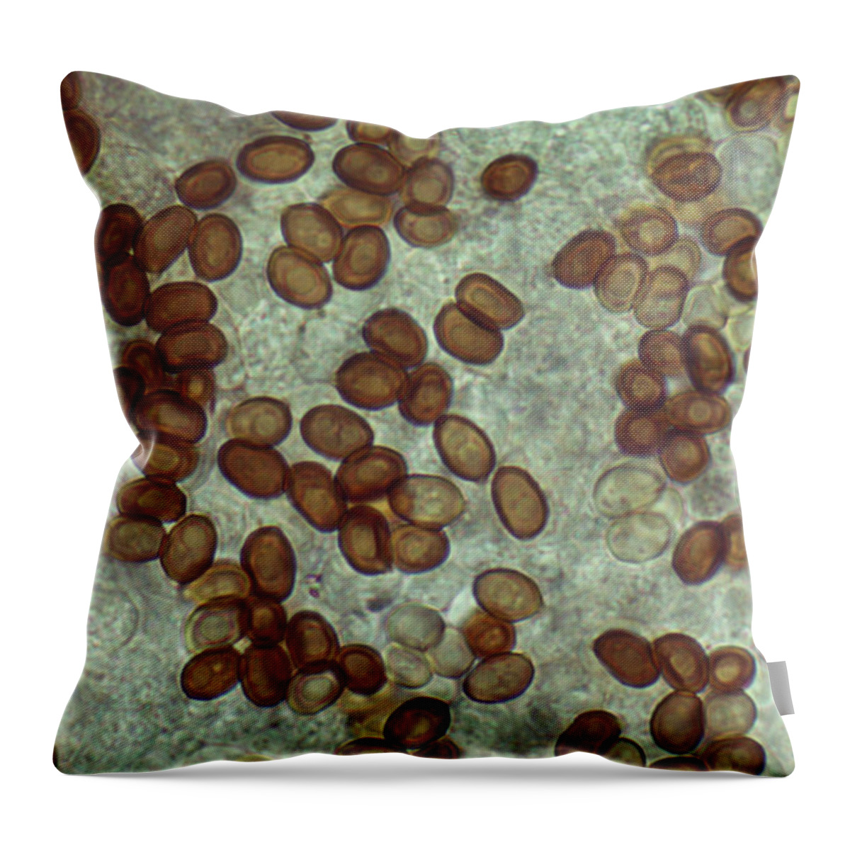 Mushroom Spore Print Pillow, 18