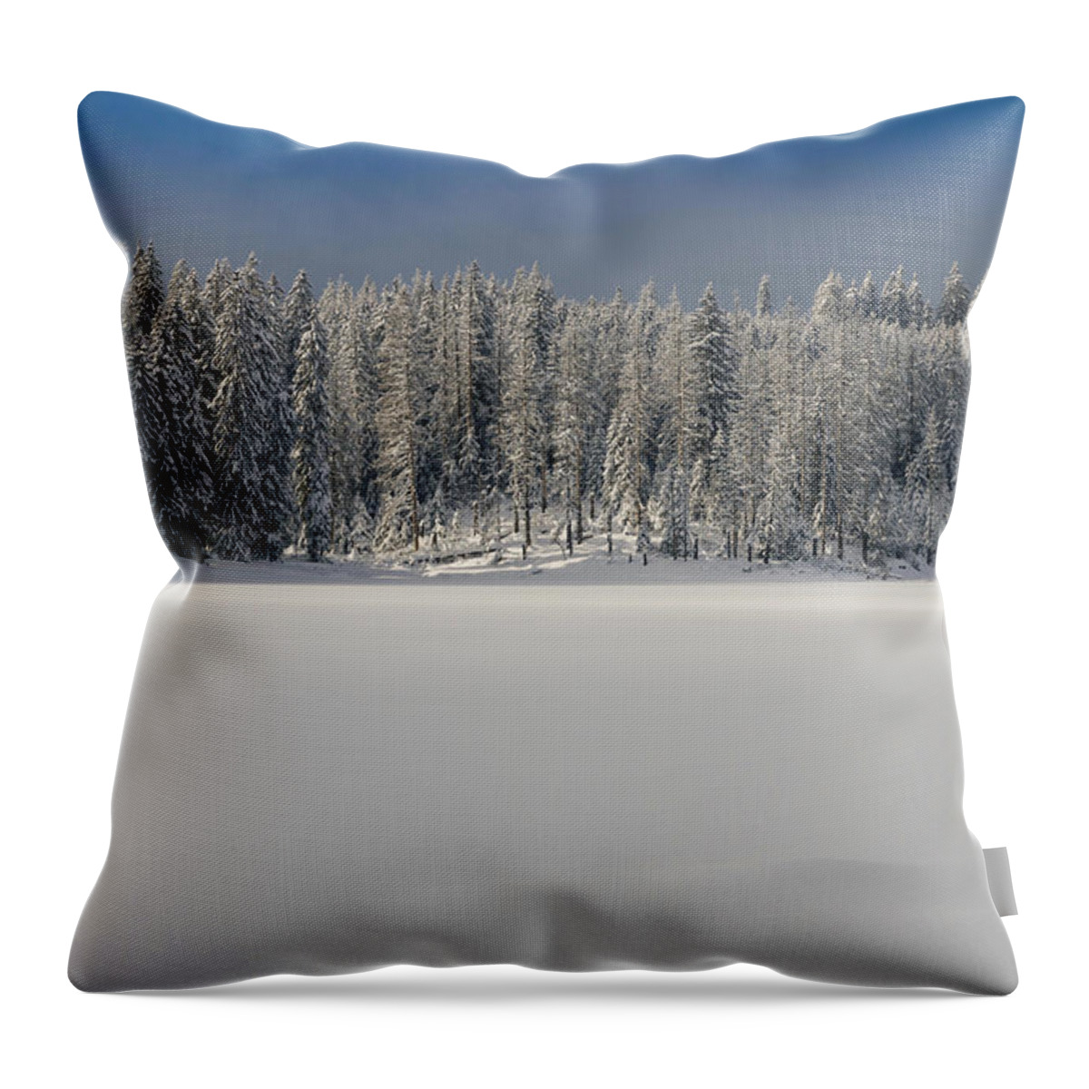 Abenteuer Throw Pillow featuring the photograph Oderteich by Andreas Levi