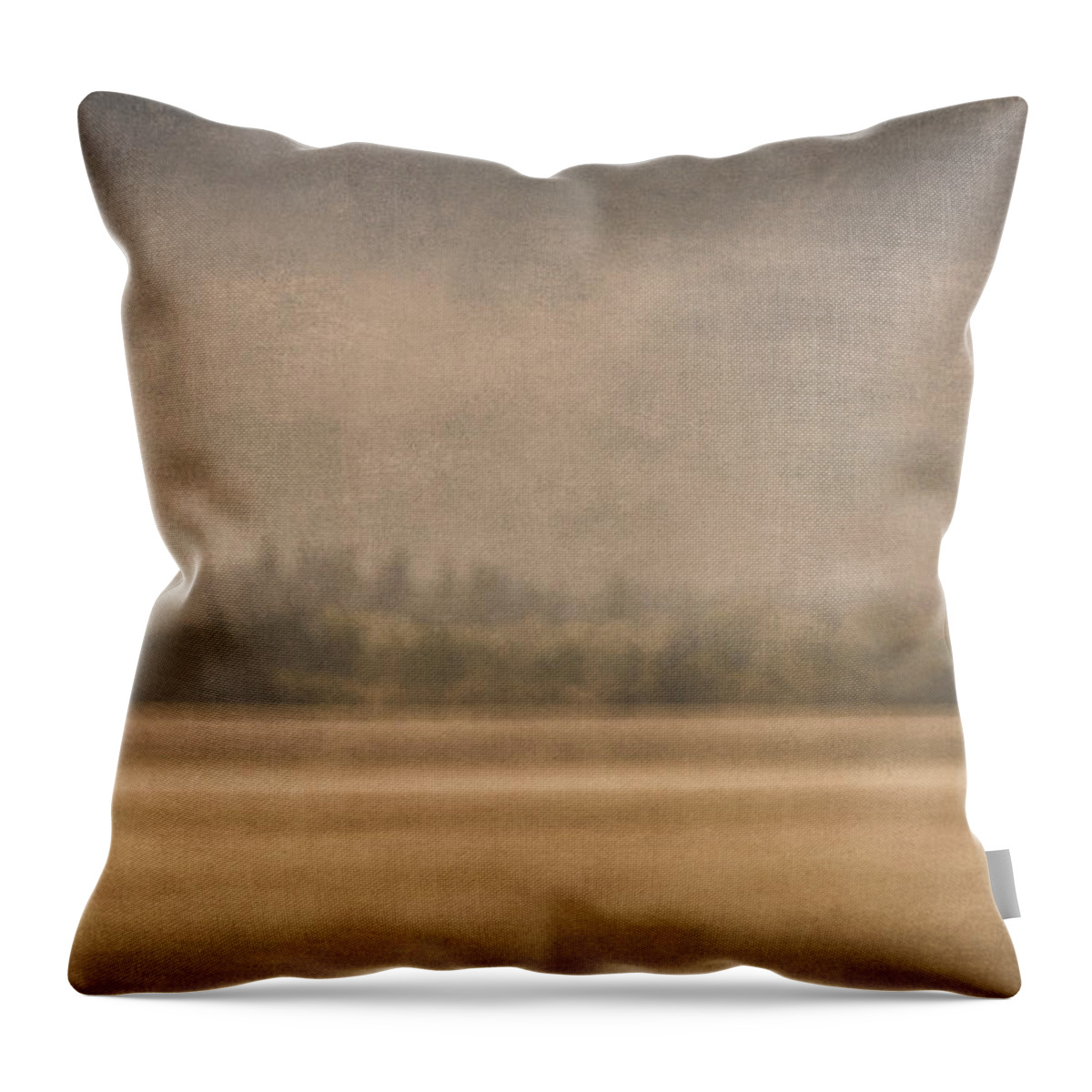 Oregon Throw Pillow featuring the photograph Oregon Rain by Carol Leigh