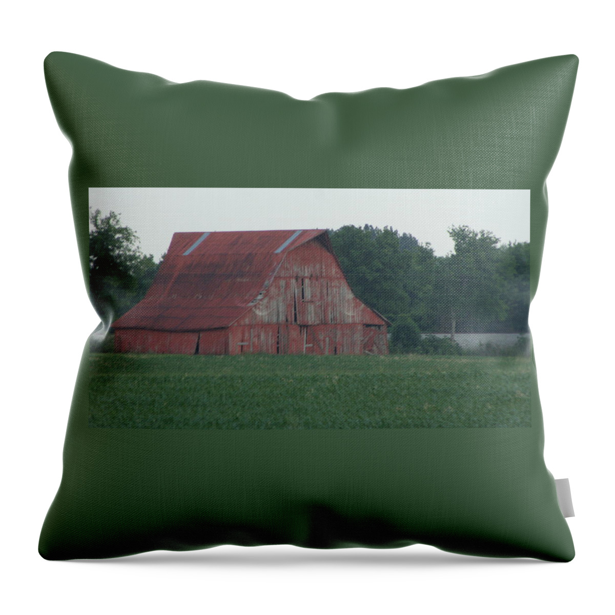 Barn Throw Pillow featuring the photograph Weathered Red Barn in Kentucky by Valerie Collins