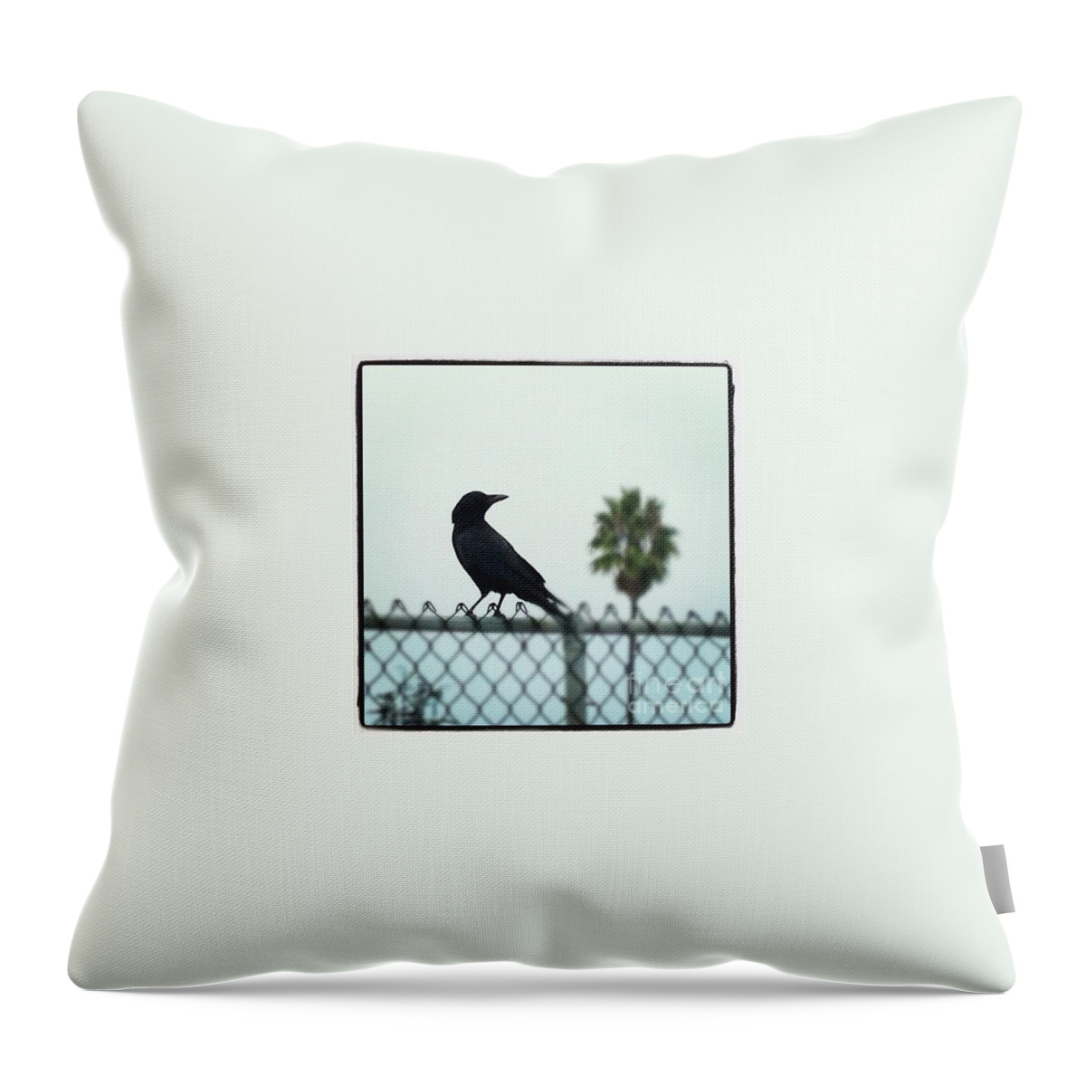 Crow Throw Pillow featuring the photograph Silhouette by Denise Railey