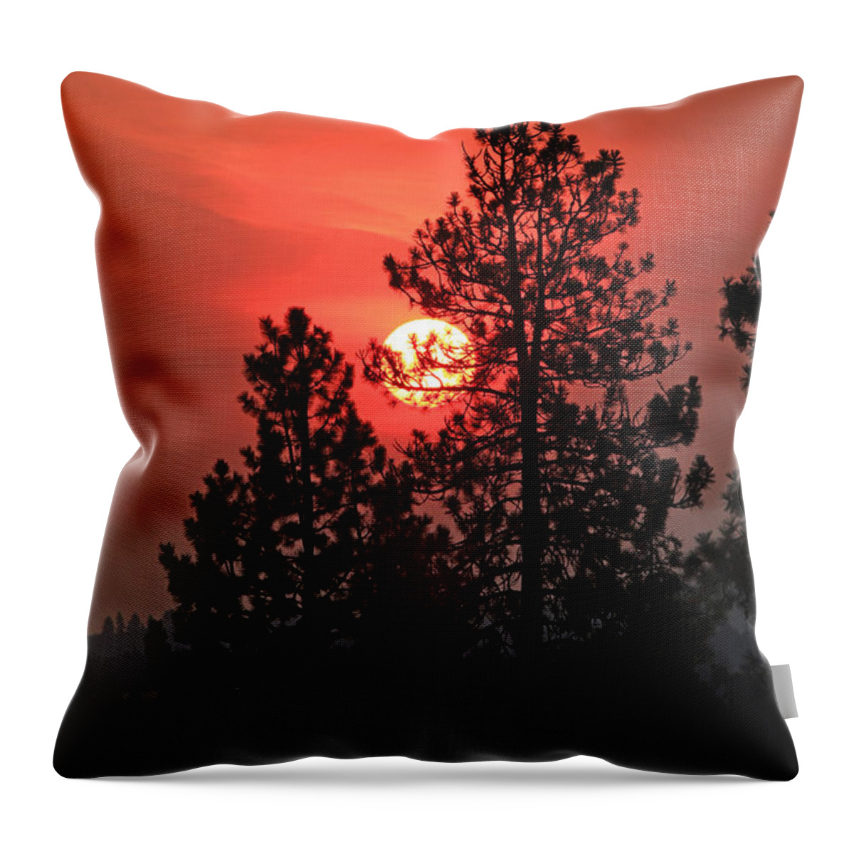 Sunrise Throw Pillow featuring the photograph Smokey Sunrise by E Faithe Lester