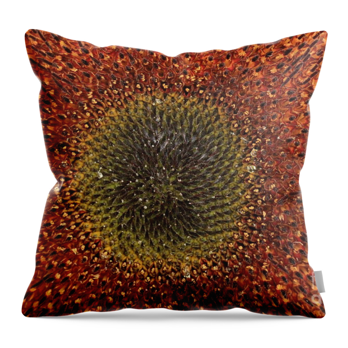 Background Throw Pillow featuring the photograph Sunflower Seeds by Amanda Mohler