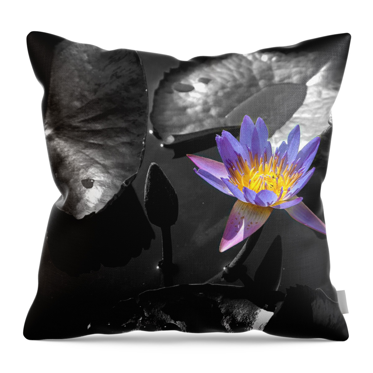 Bloom Throw Pillow featuring the photograph Water Lily by Mark Llewellyn