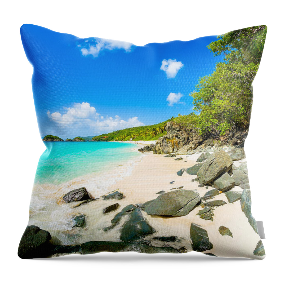 Caribbean Throw Pillow featuring the photograph Beautiful Caribbean beach by Raul Rodriguez