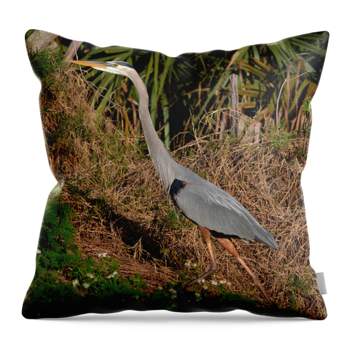  Throw Pillow featuring the photograph 11- Great Blue Heron by Joseph Keane