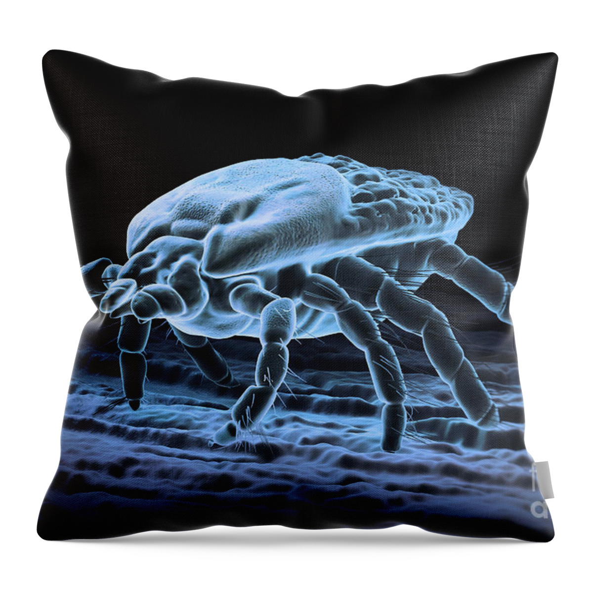 https://render.fineartamerica.com/images/rendered/default/throw-pillow/images-medium-5/12-tick-ixodes-science-picture-co.jpg?&targetx=-119&targety=0&imagewidth=718&imageheight=479&modelwidth=479&modelheight=479&backgroundcolor=16181E&orientation=0&producttype=throwpillow-14-14