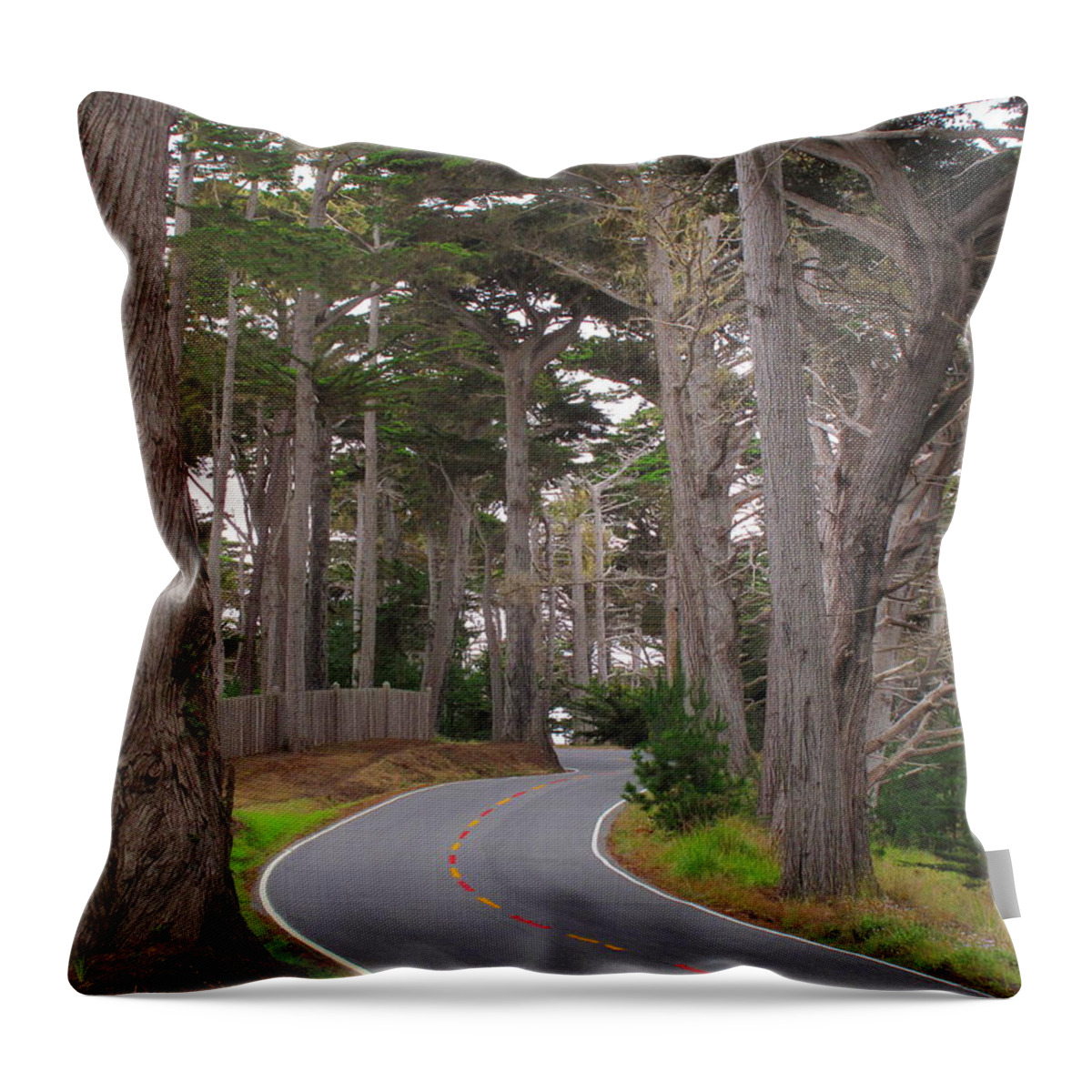 Pebble Beach Throw Pillow featuring the photograph 17 Mile Drive by Derek Dean