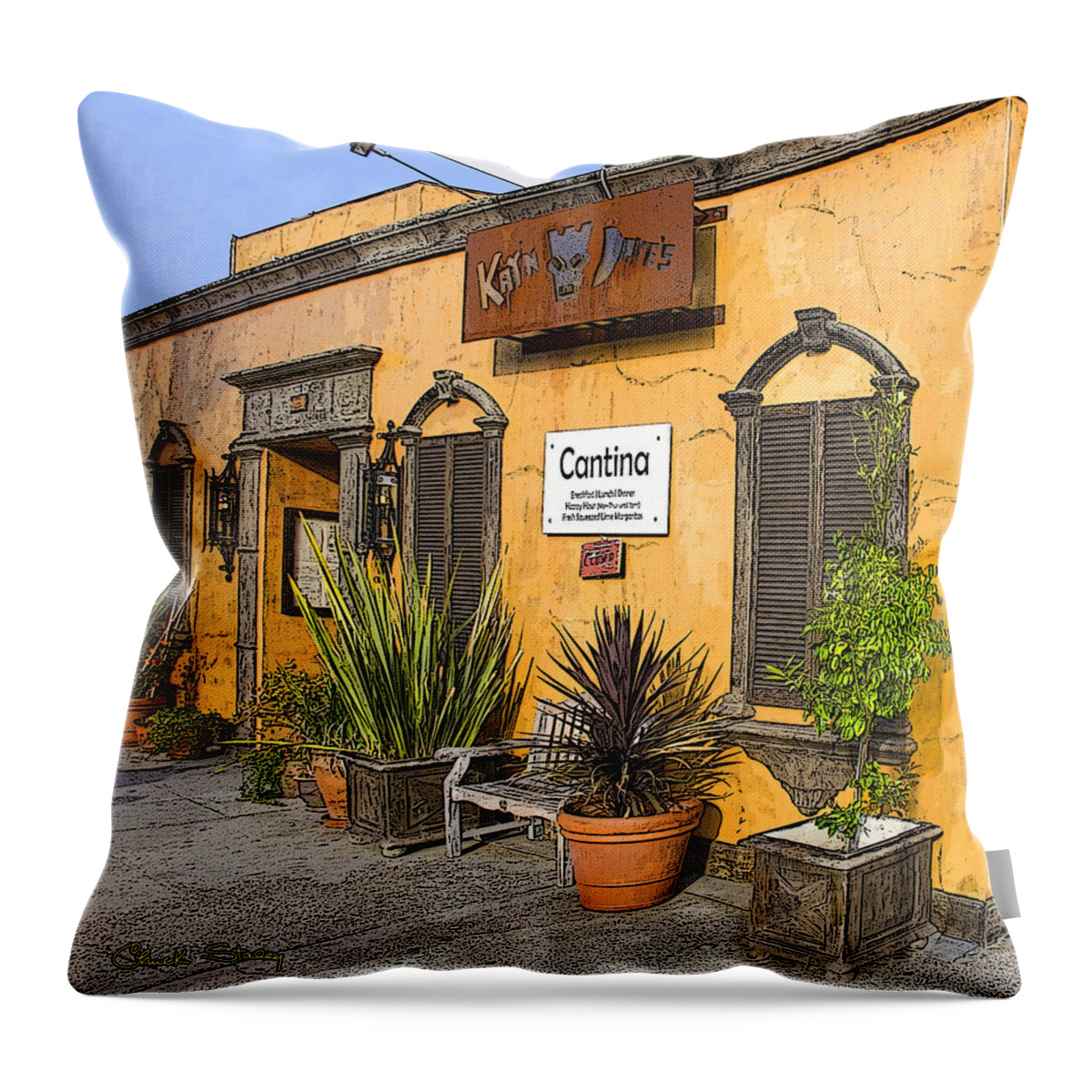 Bar Throw Pillow featuring the photograph Cantina by Chuck Staley