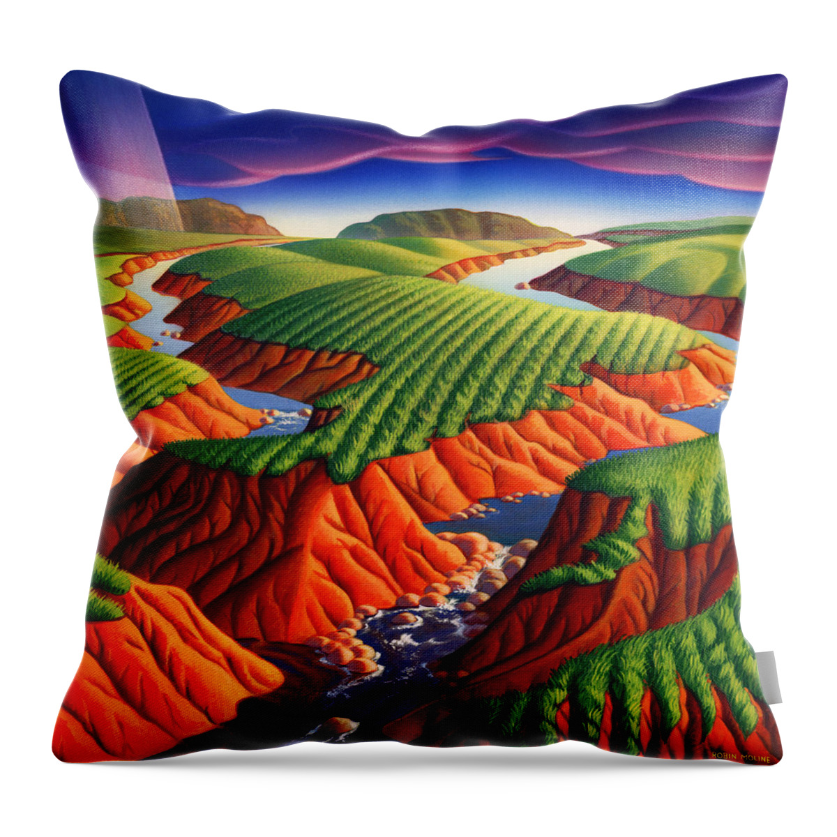 Landscape Throw Pillow featuring the painting Erosion by Robin Moline