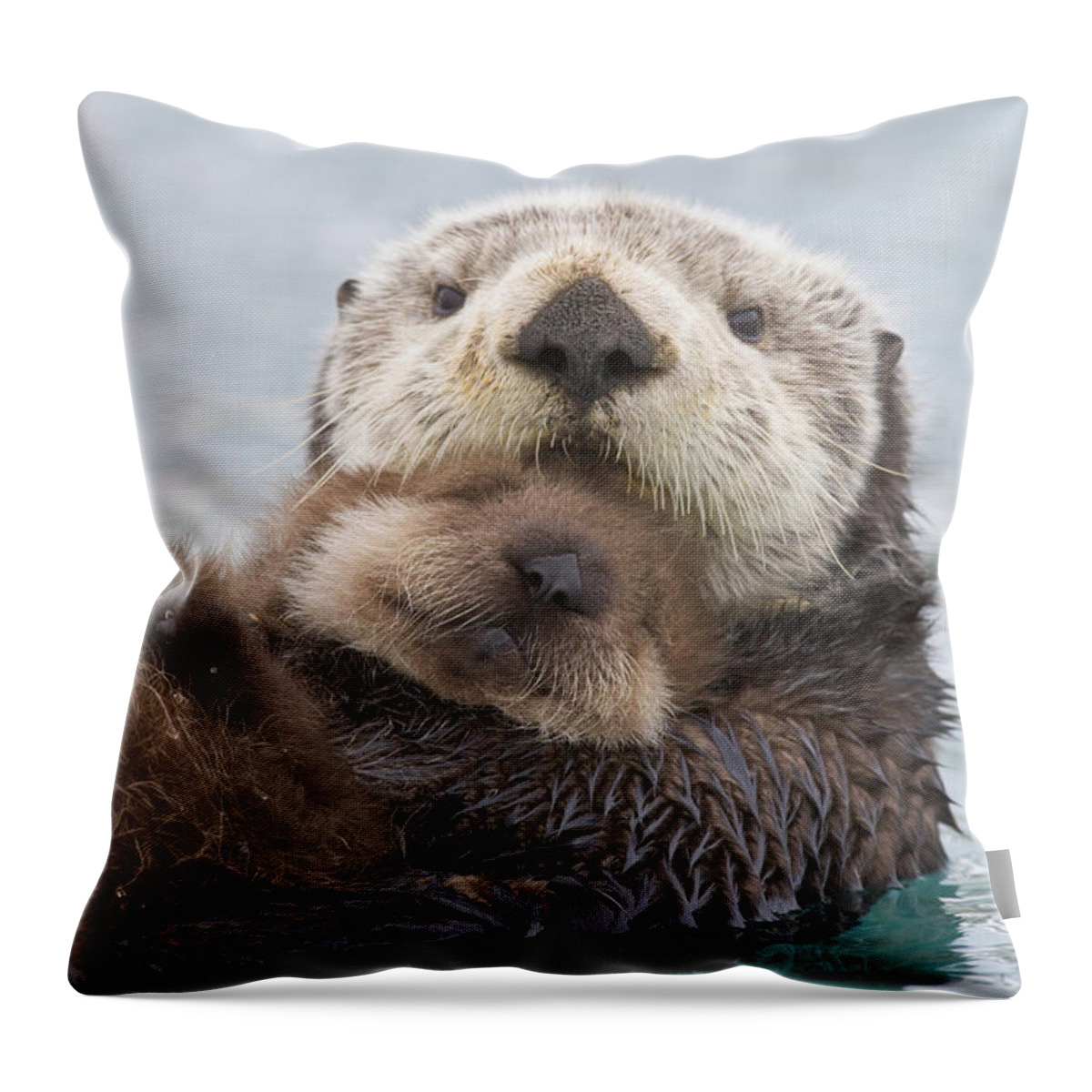 #faatoppicks Throw Pillow featuring the photograph Female Sea Otter Holding Newborn Pup #2 by Milo Burcham