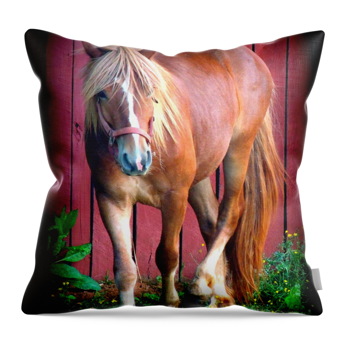 Horse Throw Pillow featuring the photograph Hitch by Rabiah Seminole