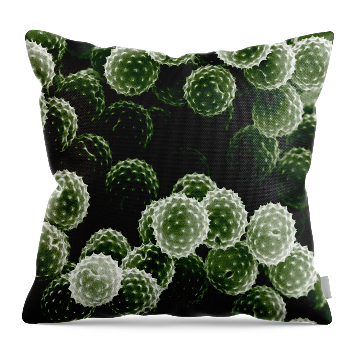 Allergen Throw Pillow featuring the photograph Ragweed Pollen Sem by David M. Phillips / The Population Council