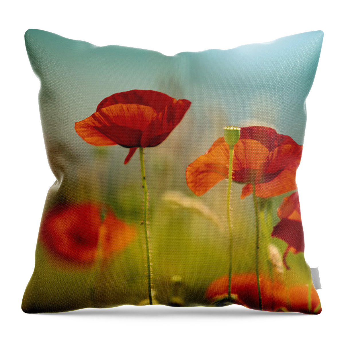 Poppy Throw Pillow featuring the photograph Summer Poppy by Nailia Schwarz