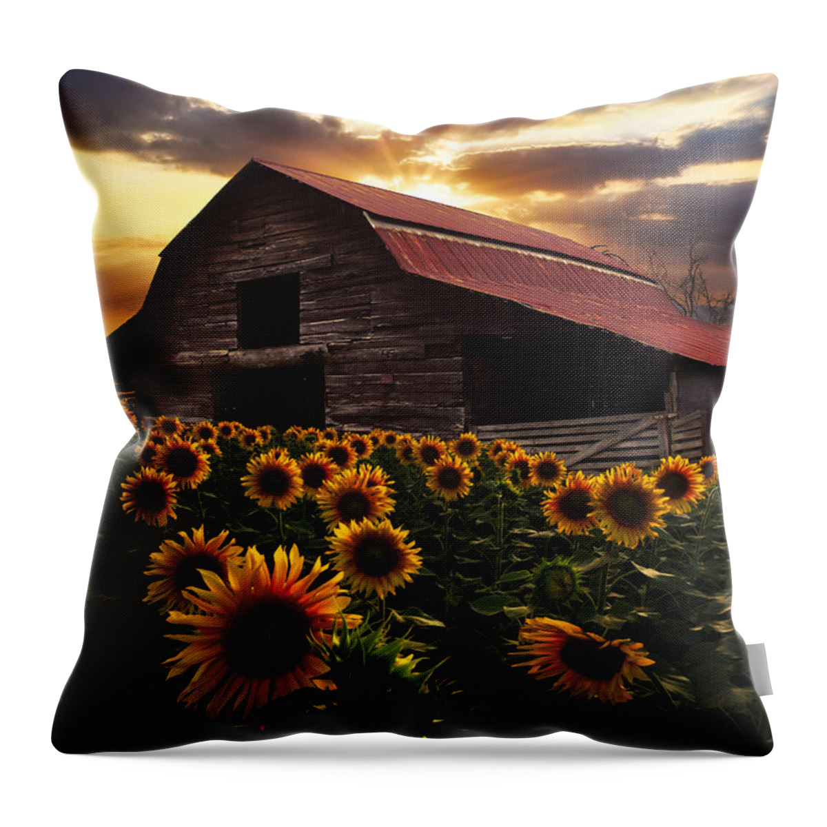Sunflowers Throw Pillow featuring the photograph Sunflower Farm by Debra and Dave Vanderlaan
