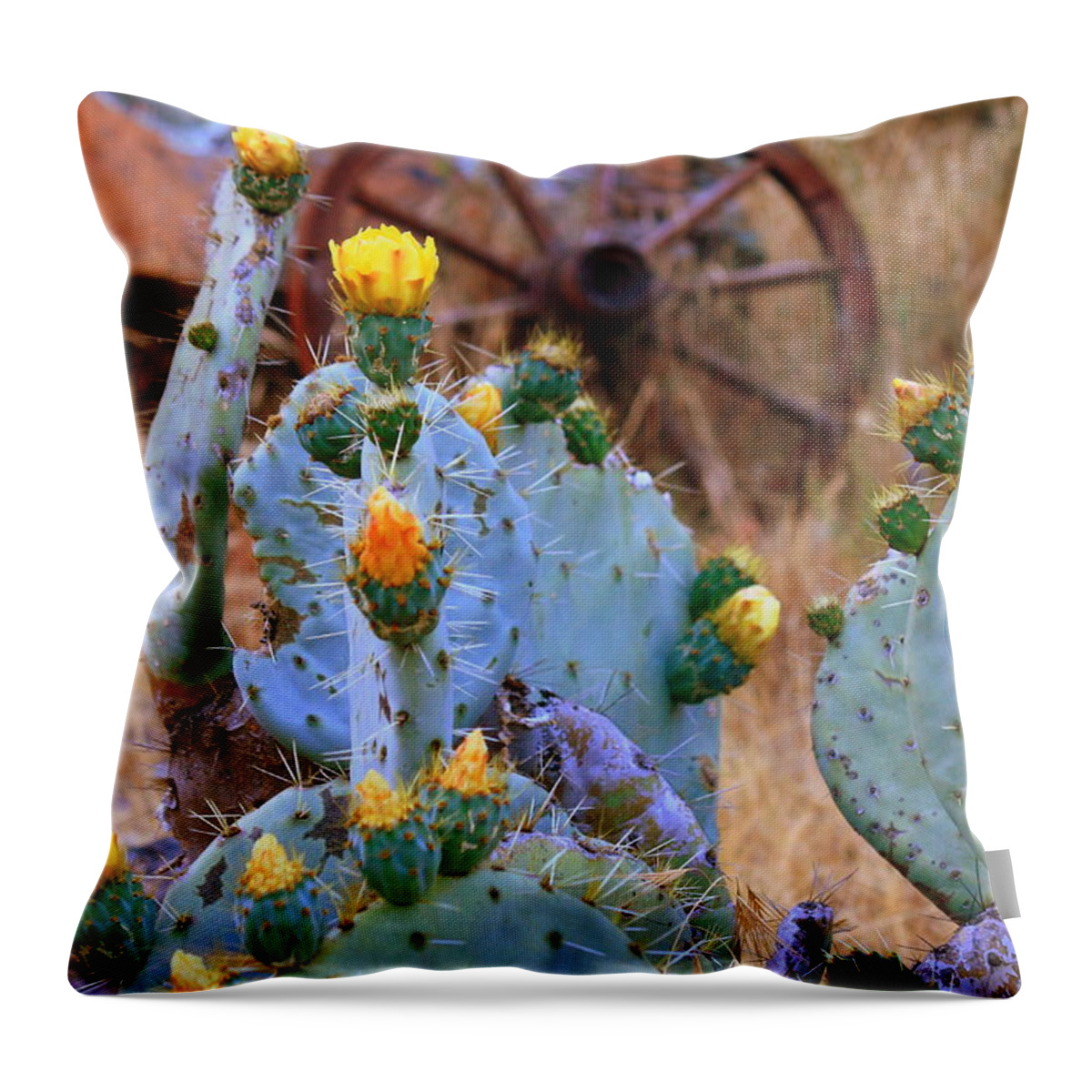 Old Throw Pillow featuring the photograph The Old West by Patrick Witz