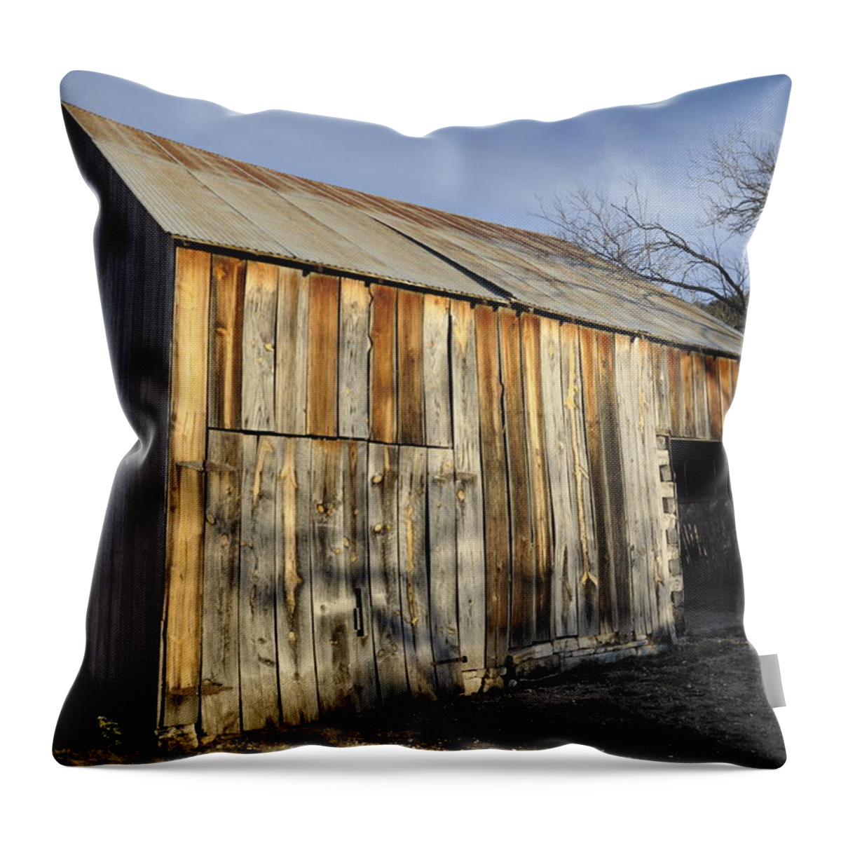 Barn Throw Pillow featuring the photograph Old Barn by Frank Madia