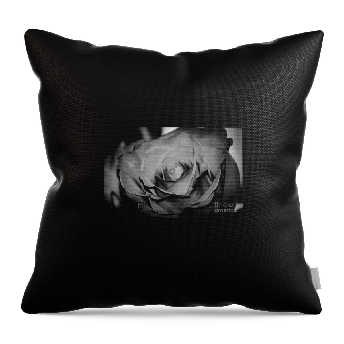 Black And White Rose Throw Pillow featuring the photograph Rose by Deena Withycombe